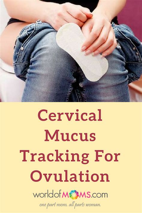 How Cervical Mucus Stages Helps You Predict Your Fertile Days With