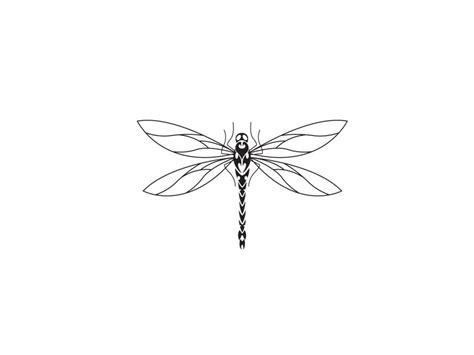 Dragonfly Outline Drawing At Getdrawings Free Download