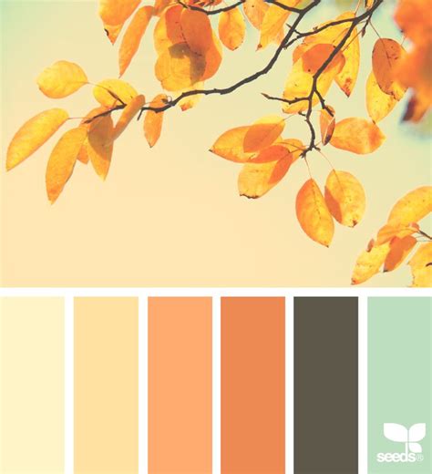 The 25 Best Autumn Color Palette Ideas On Pinterest Colour Coloring Wallpapers Download Free Images Wallpaper [coloring876.blogspot.com]