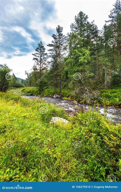 Altai River Kuyum Gorny Altai Siberia Russia Stock Photo Image Of