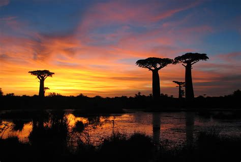 Sale, rent, management and transaction of real estate in madagascar. Madagascar Travel Guide • Wander, Explore, Discover ...