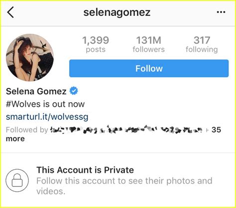 How to view private ig profiles. Selena Gomez Puts Instagram on Private After Posting ...