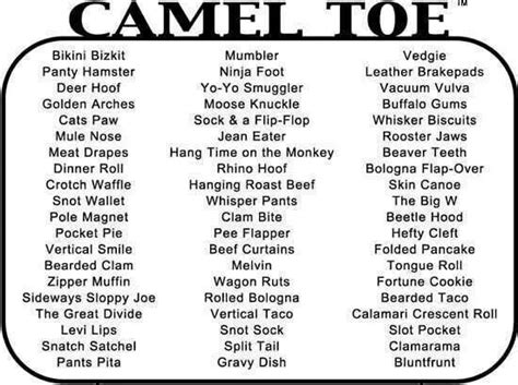Camel Toe Nicknames Funny Stuff Lol Pinterest Camel And Toe