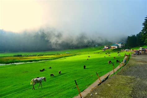 Dalhousie With Chamba And Khajjiar Tour Package Vibrant Holidays