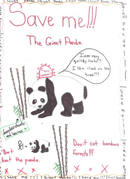Panda Endangered Animal By Sofia Age 9 Astana Kazakhstan Eco Kids