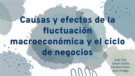 Solution Causas Y Efectos De La Fluctuaci N Macroecon Mica Y El Ciclo