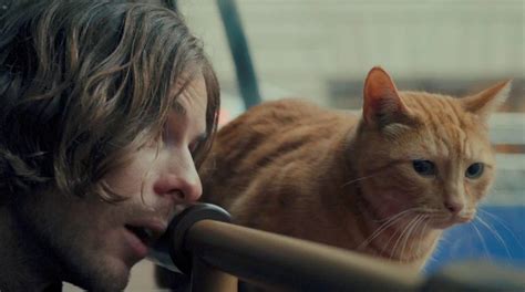 A Street Cat Named Bob Featured Reviews Film Threat