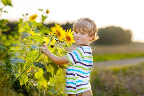 Adorable Little Blond Kid Boy On Summer Sunflower Field Outdoors Cute