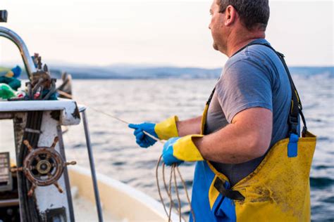 Commercial Fisherman Stock Photos Pictures And Royalty Free Images Istock