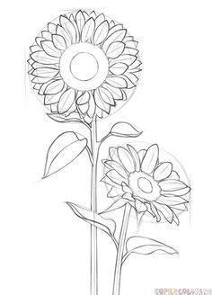 Easy to draw sunflowers for kids of all ages, using measurement skills, concentric circles, patterns, textures, negative space sunflower flower plant coloring and drawing painting learn colors for kids, children | kids art time let's learn how to draw and. How to draw a sunflower step by step. Drawing tutorials ...