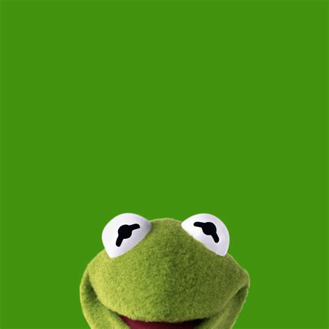 Download Meme Kermit The Frog Hearts Wallpaper Iphone