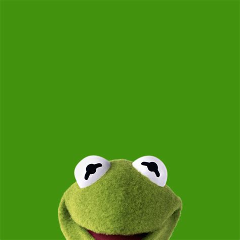 Kermit The Frog Wallpapers Wallpaper Cave