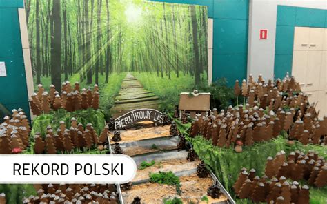 Największy las piernikowy Rekord Polski Biuro Rekordów