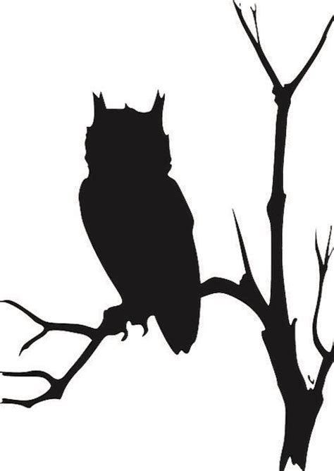 Barn Owl Silhouette At Getdrawings Free Download