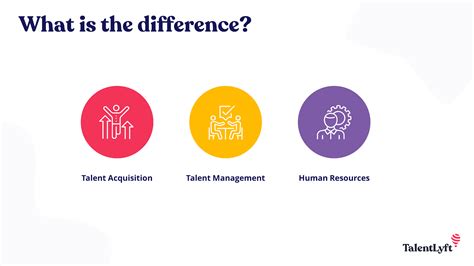 What Is Talent Acquisition Talentlyft Zohal