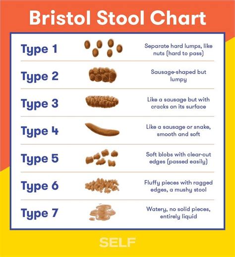 What The Color Size Shape And Smell Of Your Poop Says About Your