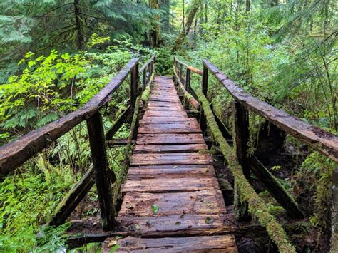 The Sunshine Coast Trail British Columbia A Hikers Guide