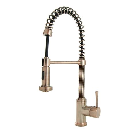 Then insert the cable, hoses, and shank through the mounting hole. Brienza Residential Single-Handle Spring Coil Pull-Down ...