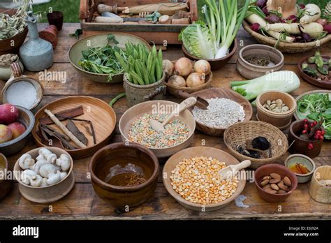 Table Of Medieval Food Including Nuts Seeds Berries Vegetables And