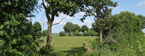 Wir laden sie ein, land und leute immer wieder neu zu entdecken. schleswig-holstein.de - Inhalte - Schleswig-Holstein ...