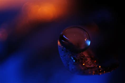 Free Images Water Droplet Drop Liquid Light Bokeh Abstract