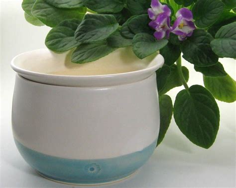 African Violet Pot Self Watering Planter Hand Thrown Etsy African