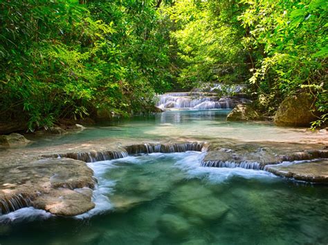 Thailand Tropical Vegetation Green River With Waterfalls