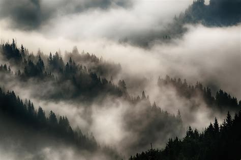 Premium Photo Misty Mountain Landscape