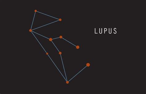 Lupus Constellation Constellations Lupus Wolf Tattoo Ideasi