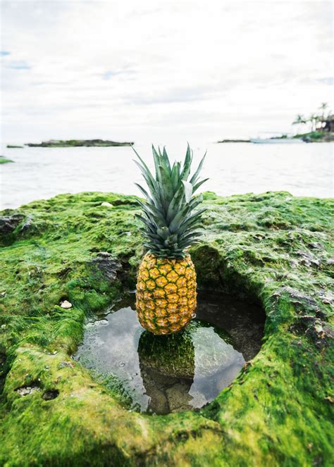 Here's a Pineapple Stock Photo Site For Your Oddly Specific Needs