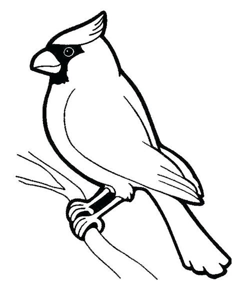 Birds Coloring Pages For Kids Printable