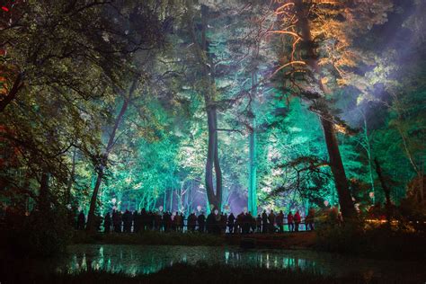 A Photograph Of The Enchanted Forest In Pitlochry Scotland Nature