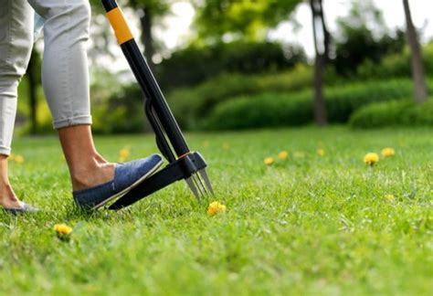 See more of lawn solutions australia on facebook. Weeding Tools
