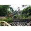 Travel The Nature Of Sentosa Villa Taiping Perak Malaysia  Nina Enany