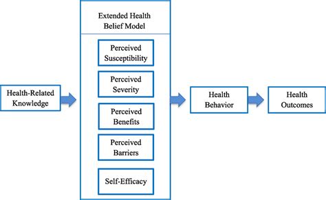 Stages Of Health Belief Model