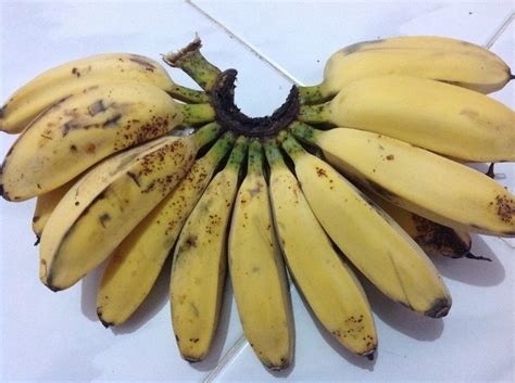 Berikut Adalah Jenis Jenis Pisang Untuk Keripik - Jenis Pisang Dan