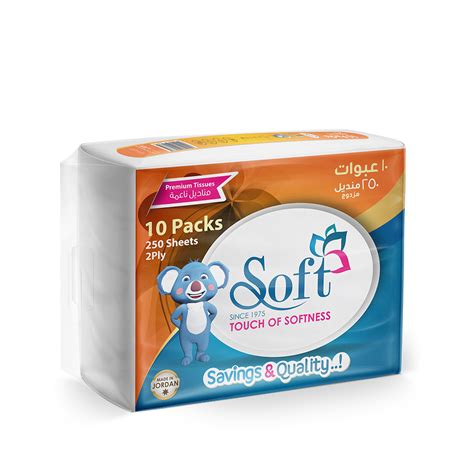 Soft Tissues Nylon Pack 250 Sheet 2 Ply 10 Pcs Wadi Al Rafidain