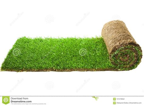 Fliegend dick weich grün flauschig kostbar. Gras-Teppich-Rolle stockfoto. Bild von horizontal ...
