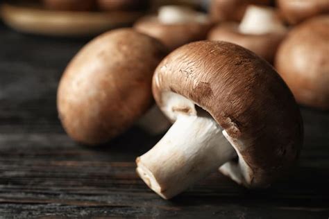 Can Mushrooms Prevent Cognitive Decline And Improve Brain Health