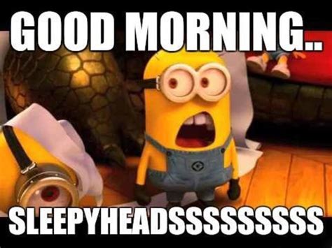 20 Awesome Good Morning Minion Quotes That You Will Love Happy