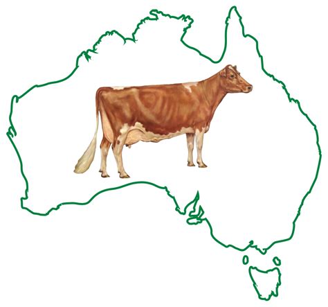 Guernsey Cattle Society Of Australia