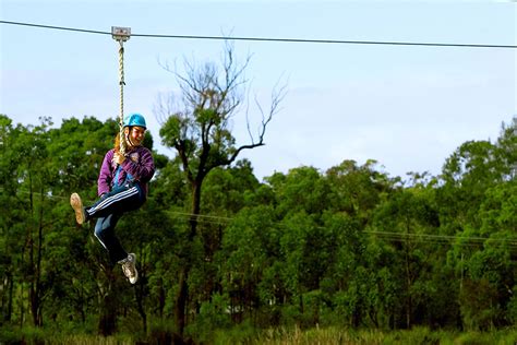 Dual Flying Fox Aussie Bush Camp