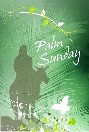 Fr Johns Reflection Palm Sunday Australian Catholic Cursillo Movement