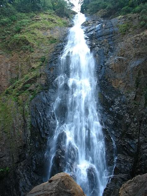 Dabbe Falls Waterfalls In Shimoga Shimoga
