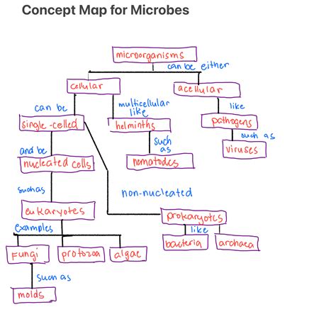 Solved Construct A Concept Map For Microbes Using The Following Terms