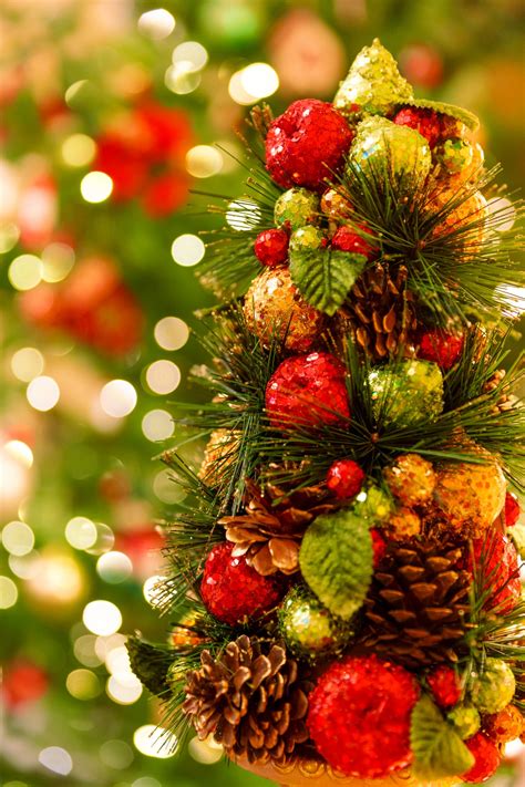 Christmas Tree Pictures Free Festively Decorated Christmas Trees
