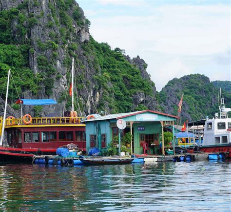 4 Remaining Floating Villages In Halong Bay To Visit With Tips