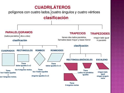 Cuadrilateros Que Son Sus Propiedades Y Clasificacion Tipos De Images