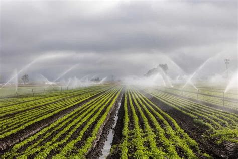 16 Key Rules For Effective Irrigation Management From Planning To