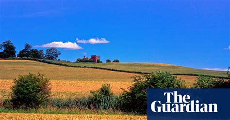 Nothing But Grass By Will Cohu Review A Memorable Rural Novel